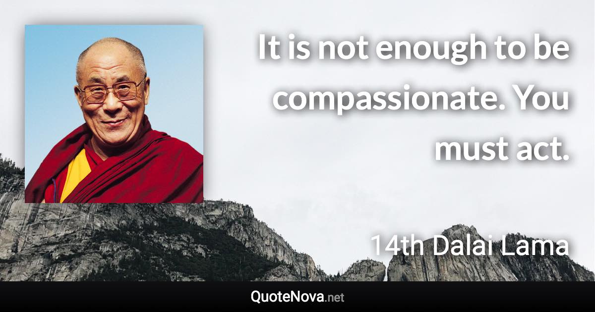 It is not enough to be compassionate. You must act. - 14th Dalai Lama quote