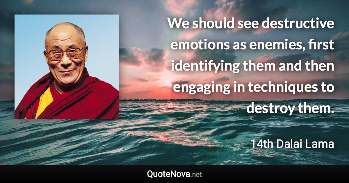 We should see destructive emotions as enemies, first identifying them and then engaging in techniques to destroy them. - 14th Dalai Lama quote