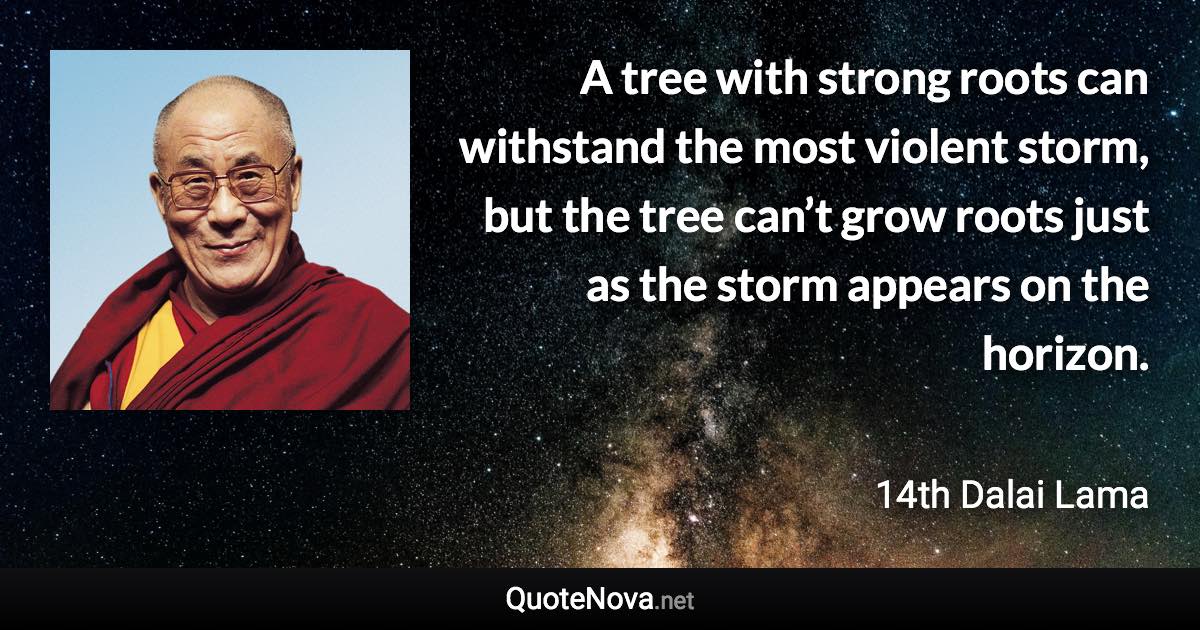 A tree with strong roots can withstand the most violent storm, but the tree can’t grow roots just as the storm appears on the horizon. - 14th Dalai Lama quote