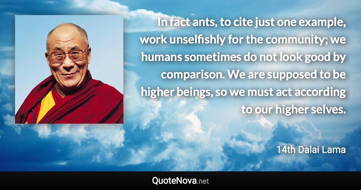 In fact ants, to cite just one example, work unselfishly for the community; we humans sometimes do not look good by comparison. We are supposed to be higher beings, so we must act according to our higher selves. - 14th Dalai Lama quote