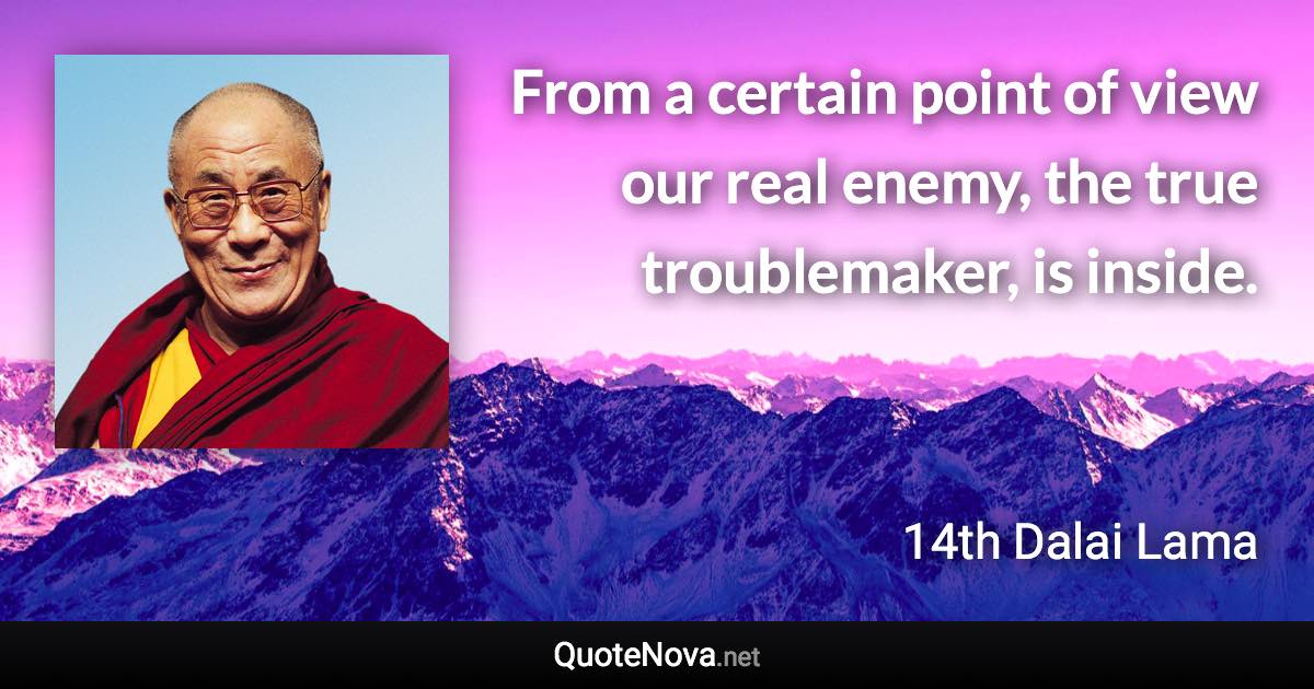 From a certain point of view our real enemy, the true troublemaker, is inside. - 14th Dalai Lama quote