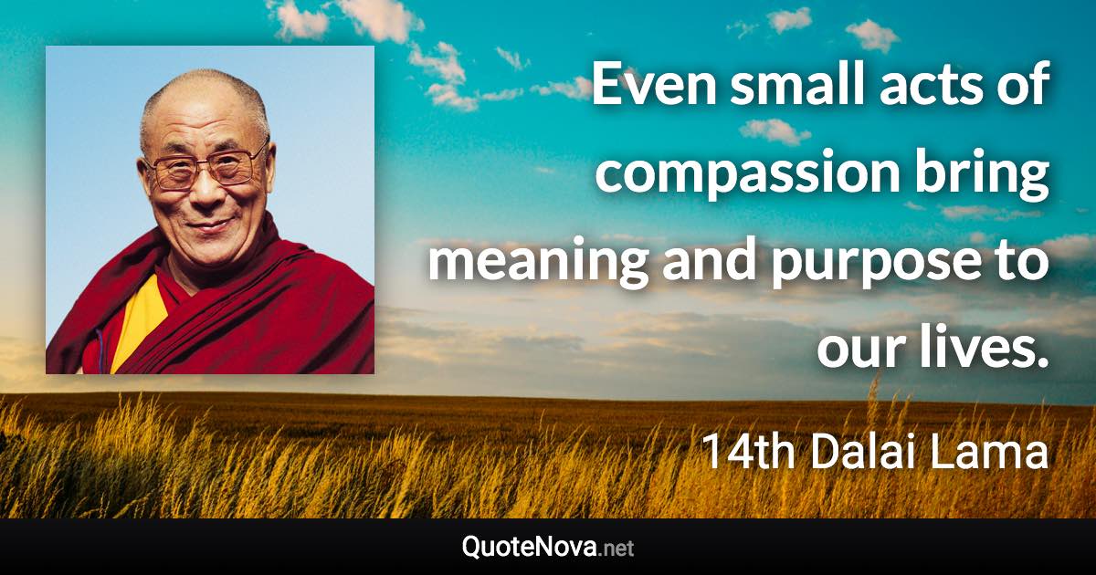 Even small acts of compassion bring meaning and purpose to our lives. - 14th Dalai Lama quote