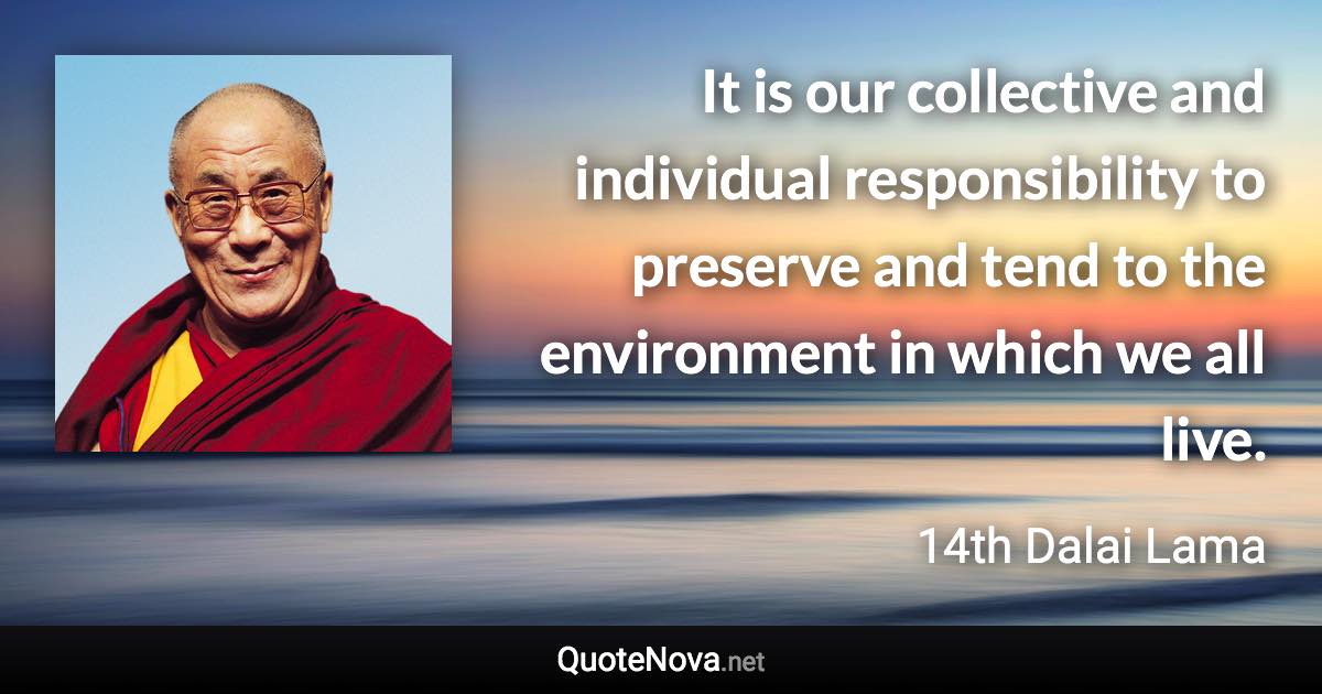 It is our collective and individual responsibility to preserve and tend to the environment in which we all live. - 14th Dalai Lama quote