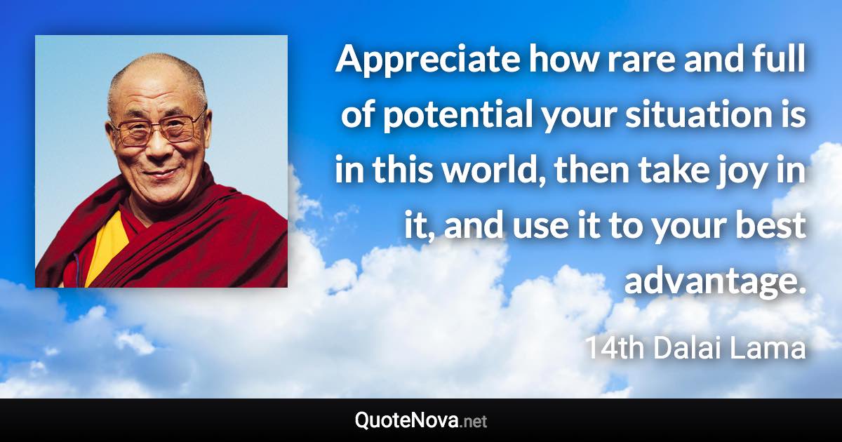 Appreciate how rare and full of potential your situation is in this world, then take joy in it, and use it to your best advantage. - 14th Dalai Lama quote