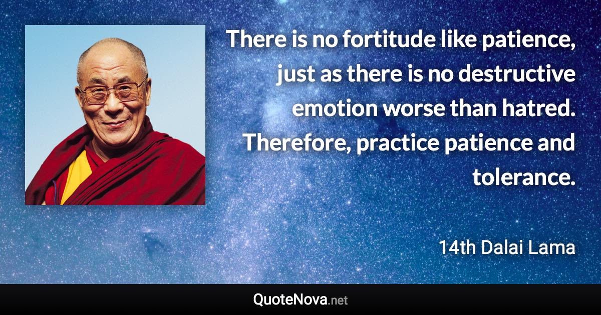 There is no fortitude like patience, just as there is no destructive emotion worse than hatred. Therefore, practice patience and tolerance. - 14th Dalai Lama quote