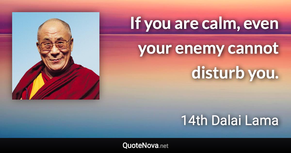 If you are calm, even your enemy cannot disturb you. - 14th Dalai Lama quote