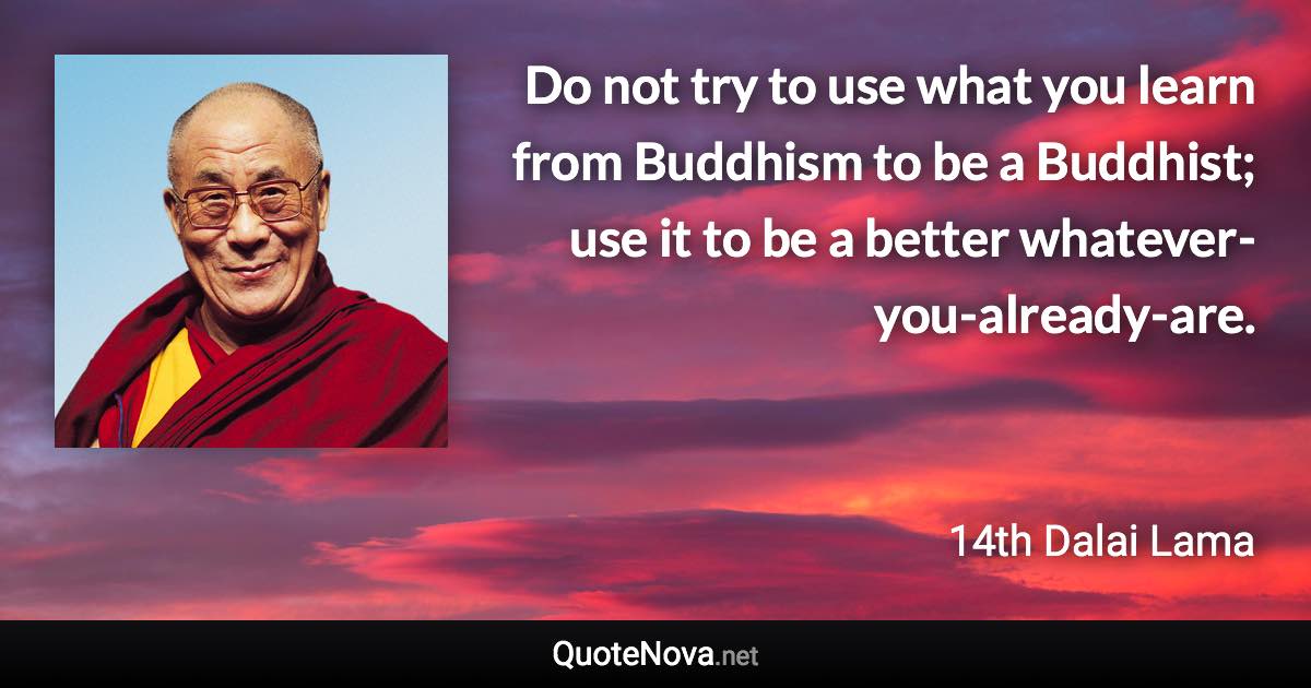 Do not try to use what you learn from Buddhism to be a Buddhist; use it to be a better whatever-you-already-are. - 14th Dalai Lama quote