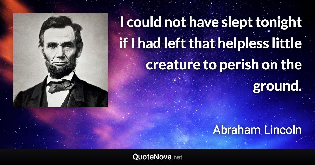 I could not have slept tonight if I had left that helpless little creature to perish on the ground. - Abraham Lincoln quote