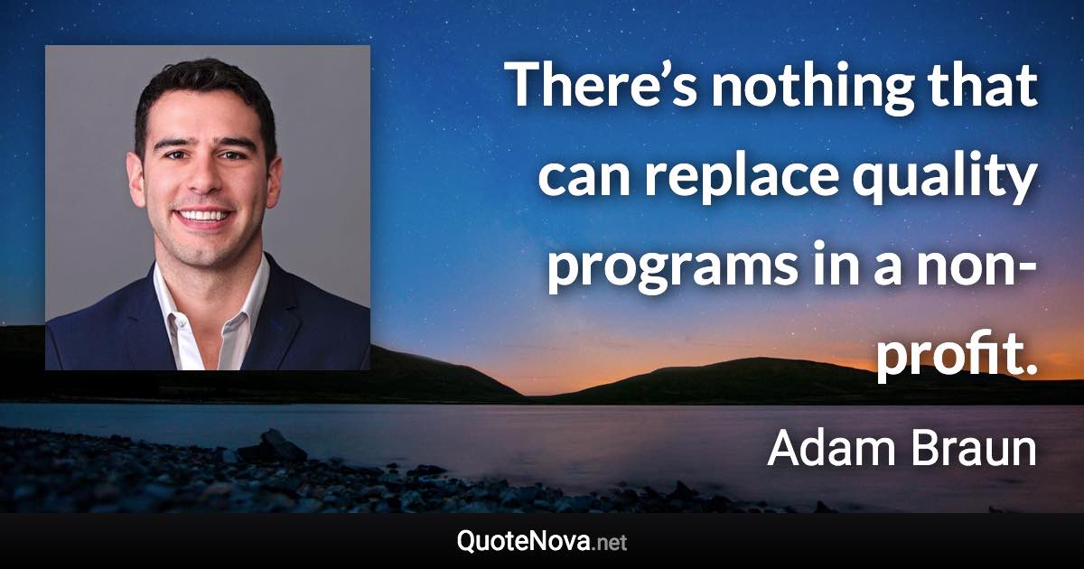 There’s nothing that can replace quality programs in a non-profit. - Adam Braun quote