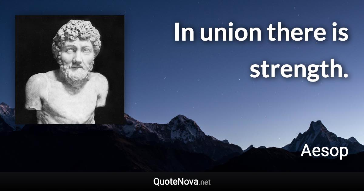 In union there is strength. - Aesop quote