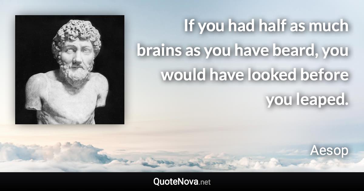 If you had half as much brains as you have beard, you would have looked before you leaped. - Aesop quote