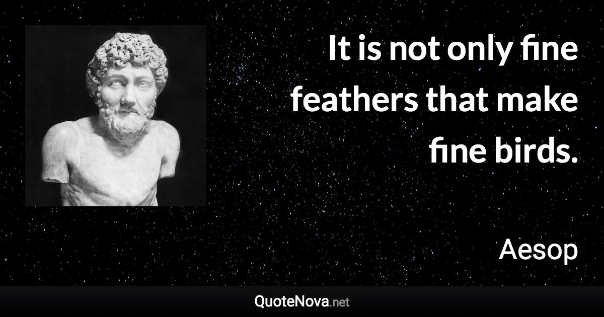 It is not only fine feathers that make fine birds. - Aesop quote