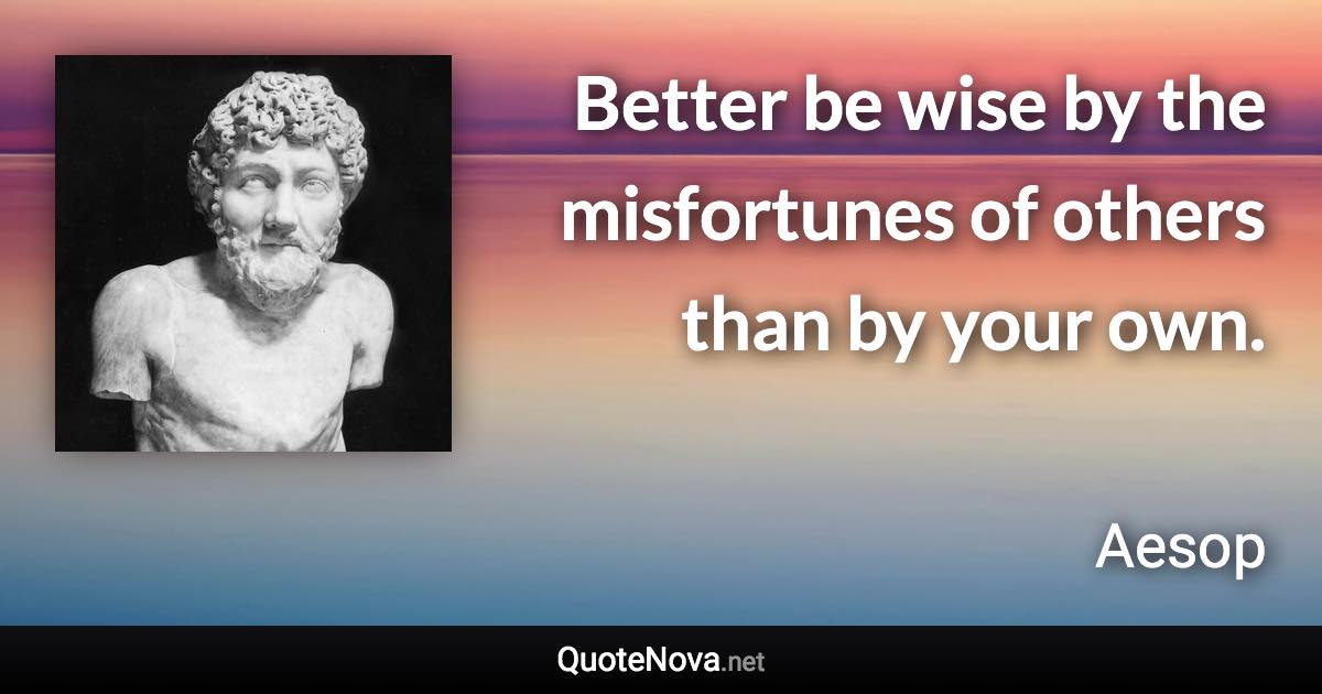 Better be wise by the misfortunes of others than by your own. - Aesop quote