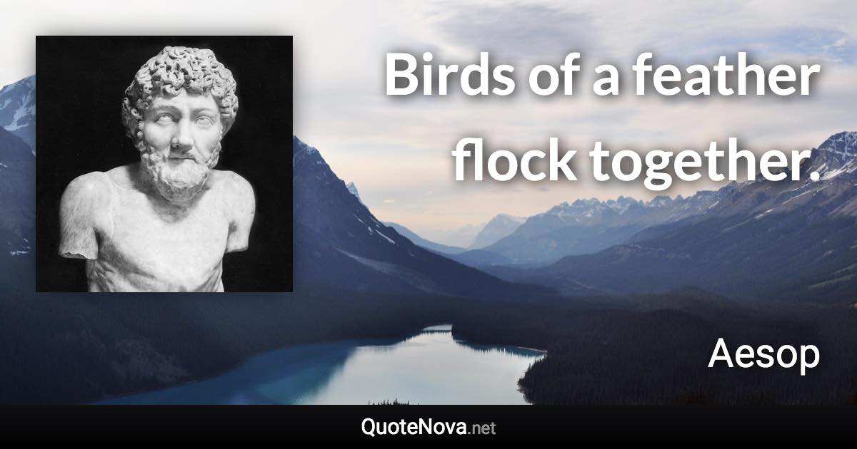 Birds of a feather flock together. - Aesop quote