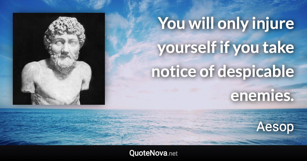 You will only injure yourself if you take notice of despicable enemies. - Aesop quote