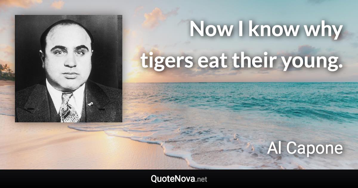 Now I know why tigers eat their young. - Al Capone quote
