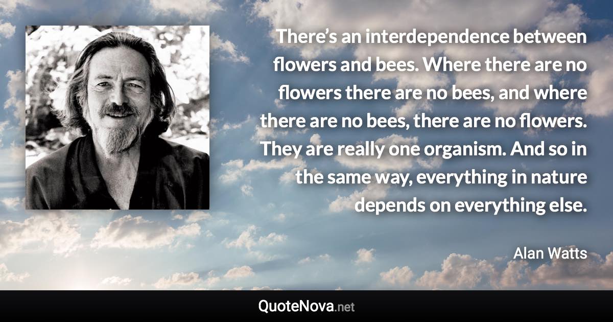 There’s an interdependence between flowers and bees. Where there are no flowers there are no bees, and where there are no bees, there are no flowers. They are really one organism. And so in the same way, everything in nature depends on everything else. - Alan Watts quote