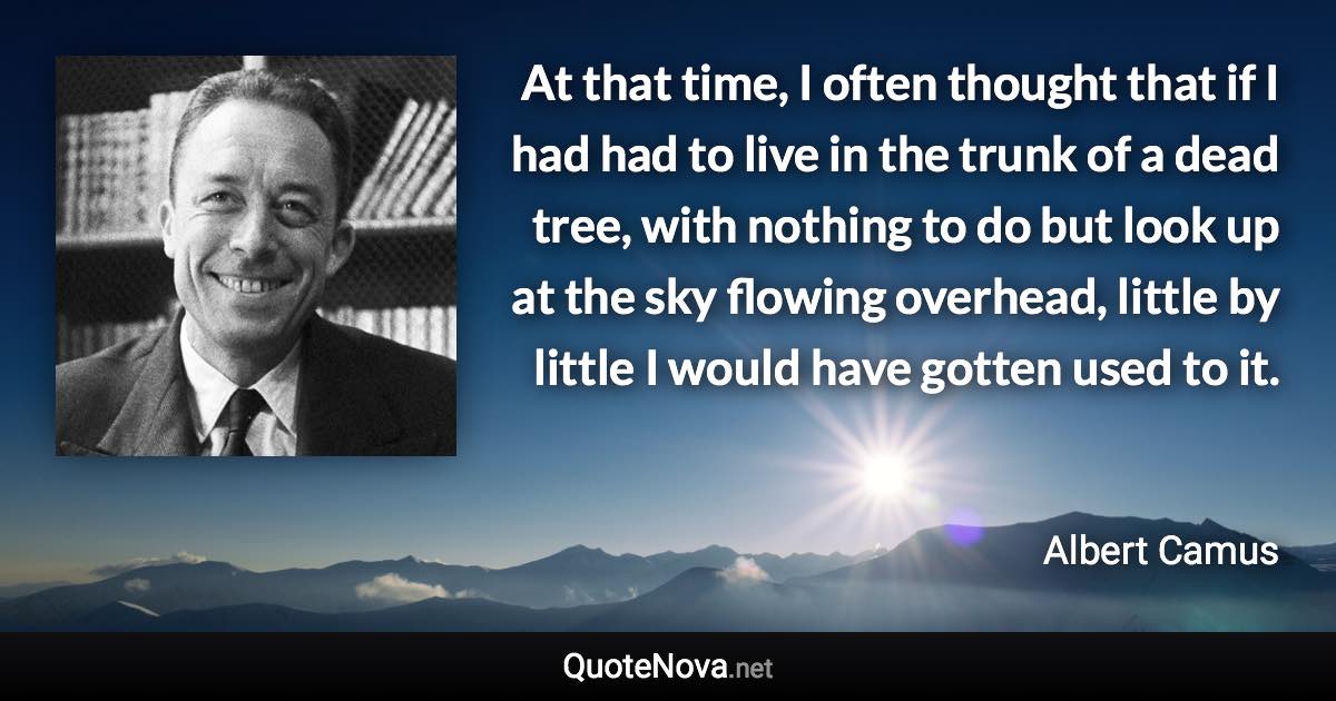 At that time, I often thought that if I had had to live in the trunk of a dead tree, with nothing to do but look up at the sky flowing overhead, little by little I would have gotten used to it. - Albert Camus quote