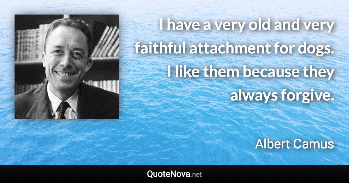 I have a very old and very faithful attachment for dogs. I like them because they always forgive. - Albert Camus quote