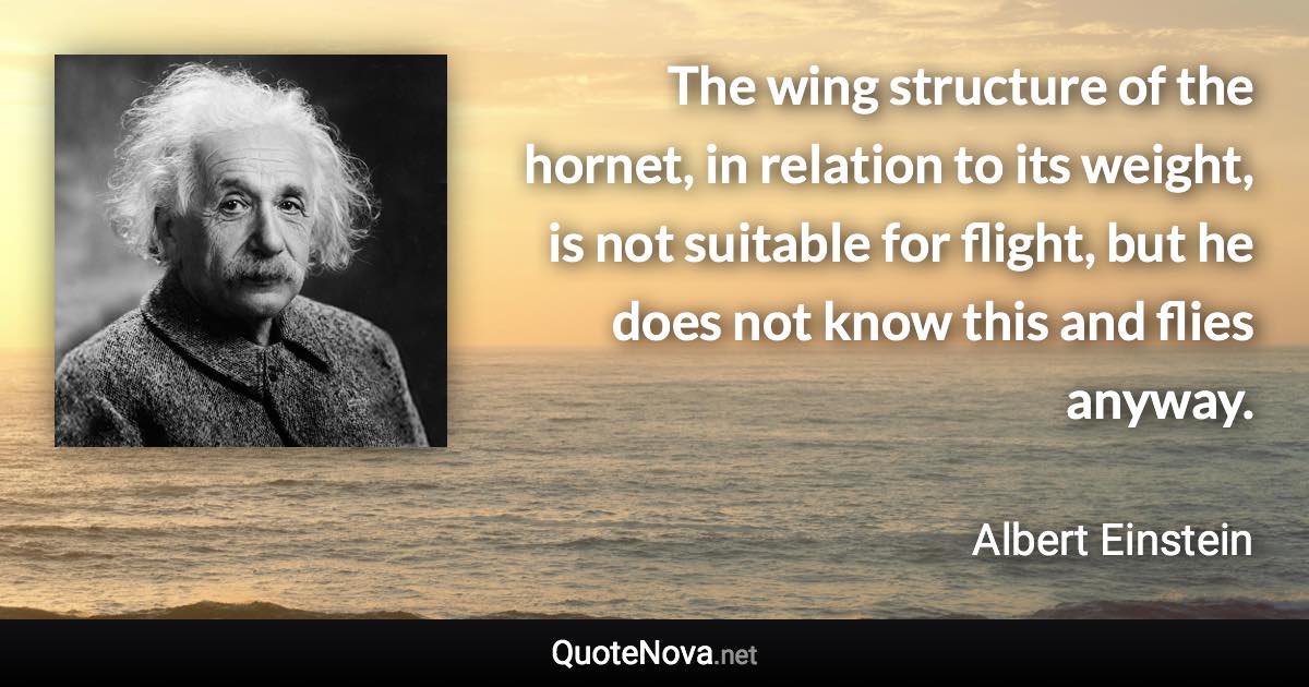 The wing structure of the hornet, in relation to its weight, is not suitable for flight, but he does not know this and flies anyway. - Albert Einstein quote