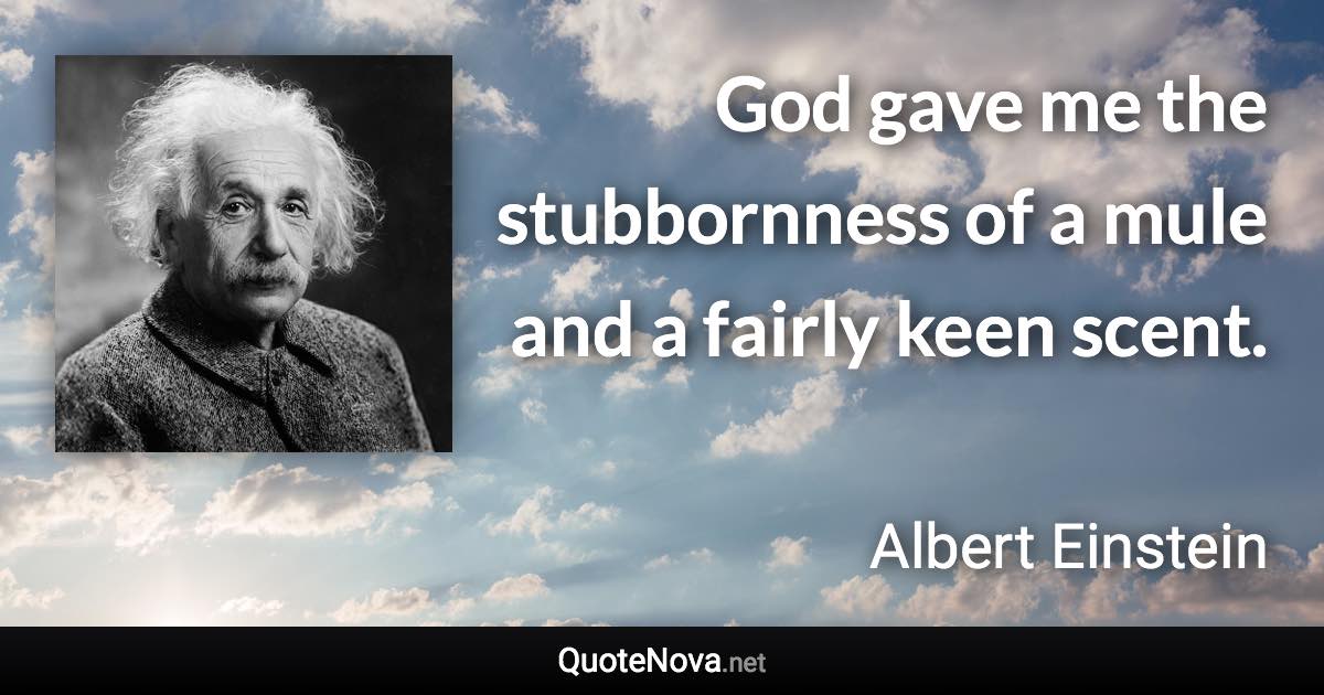 God gave me the stubbornness of a mule and a fairly keen scent. - Albert Einstein quote
