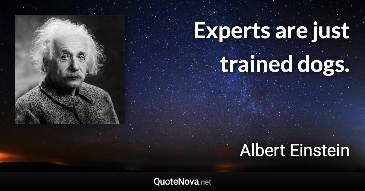 Experts are just trained dogs. - Albert Einstein quote