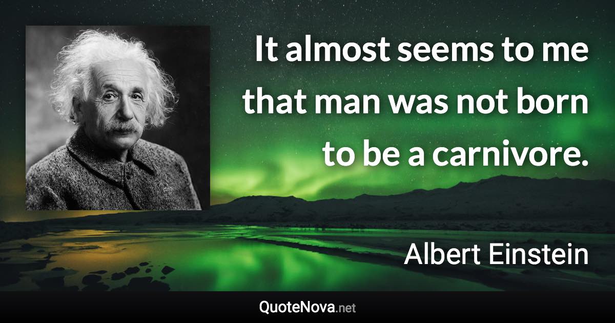 It almost seems to me that man was not born to be a carnivore. - Albert Einstein quote