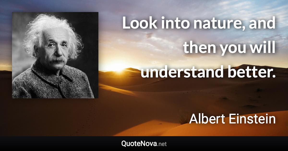 Look into nature, and then you will understand better. - Albert Einstein quote