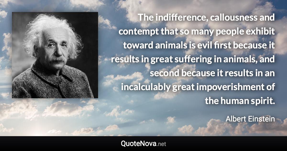 The indifference, callousness and contempt that so many people exhibit toward animals is evil first because it results in great suffering in animals, and second because it results in an incalculably great impoverishment of the human spirit. - Albert Einstein quote