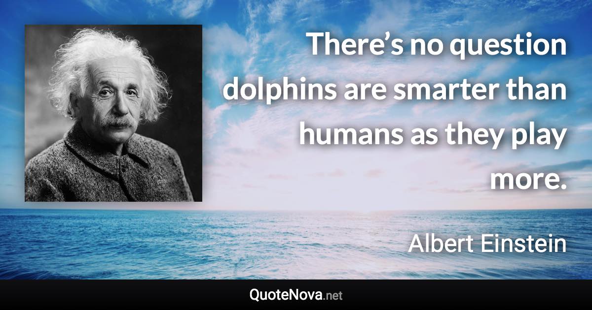 There’s no question dolphins are smarter than humans as they play more.