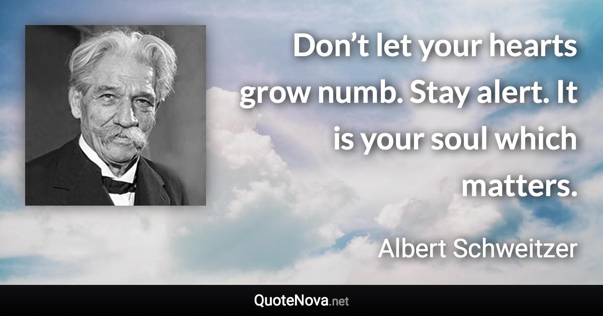 Don’t let your hearts grow numb. Stay alert. It is your soul which matters. - Albert Schweitzer quote