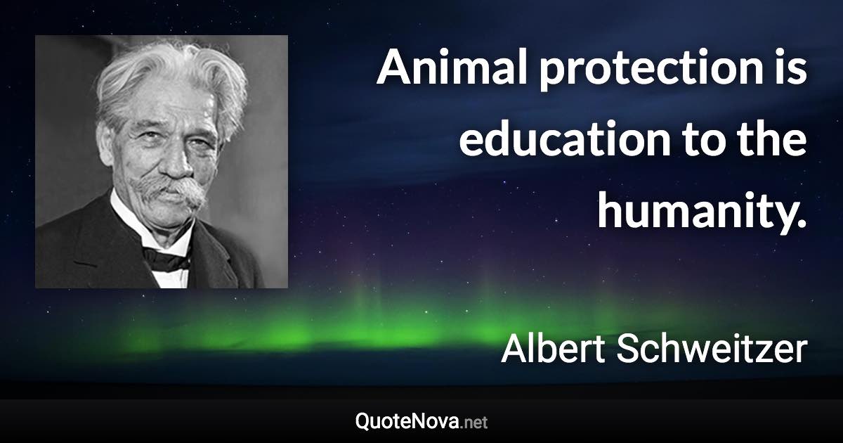 Animal protection is education to the humanity. - Albert Schweitzer quote