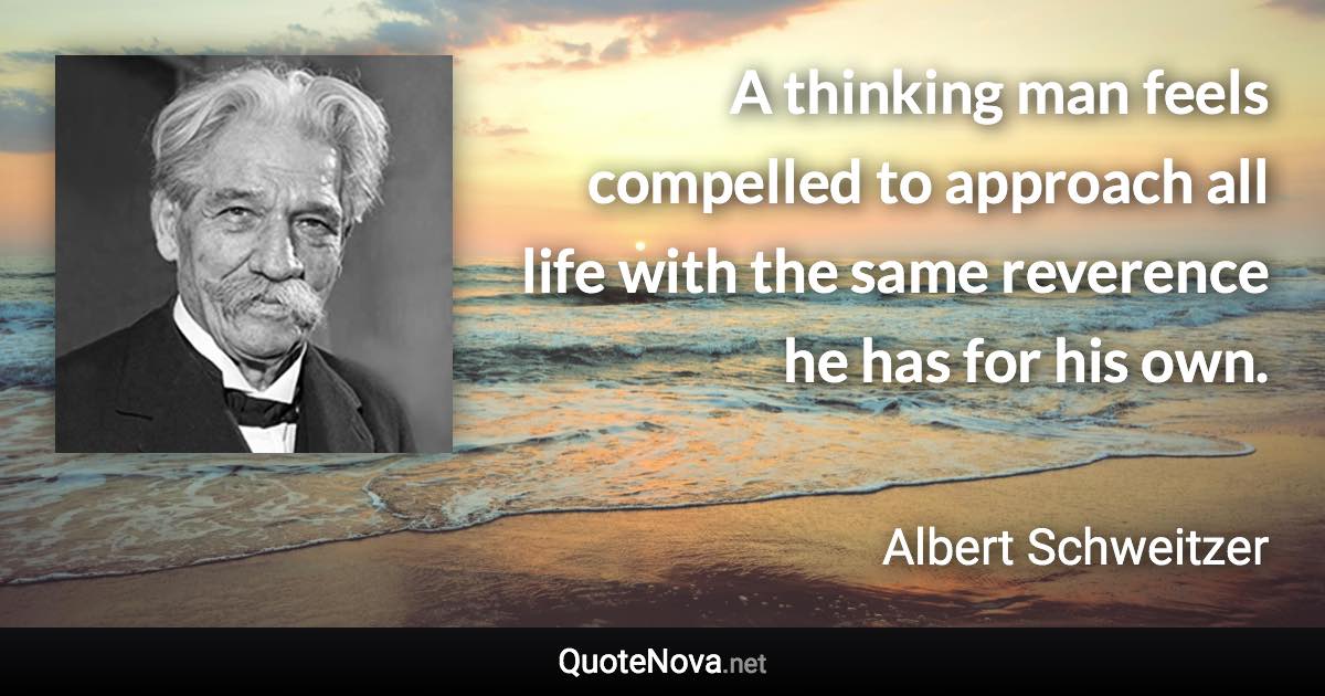 A thinking man feels compelled to approach all life with the same reverence he has for his own. - Albert Schweitzer quote