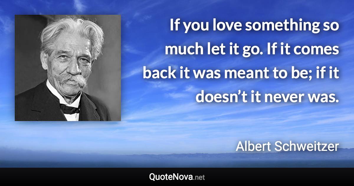 If you love something so much let it go. If it comes back it was meant to be; if it doesn’t it never was. - Albert Schweitzer quote