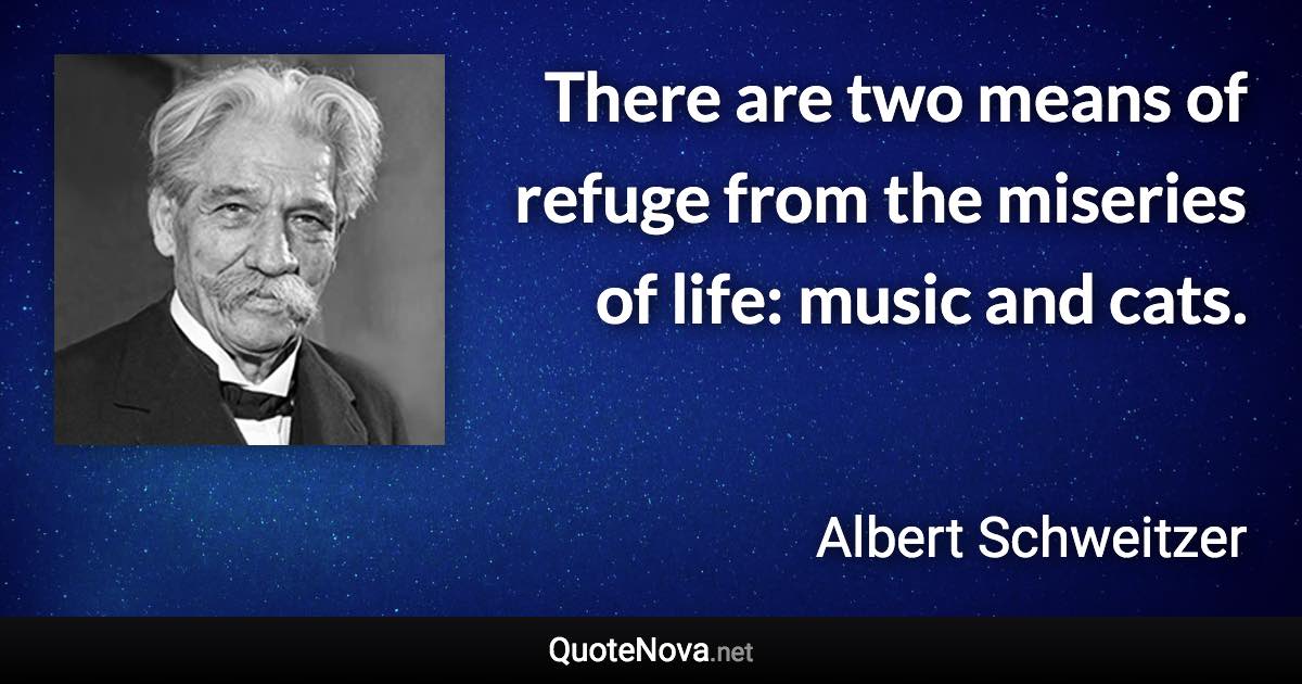 There are two means of refuge from the miseries of life: music and cats. - Albert Schweitzer quote