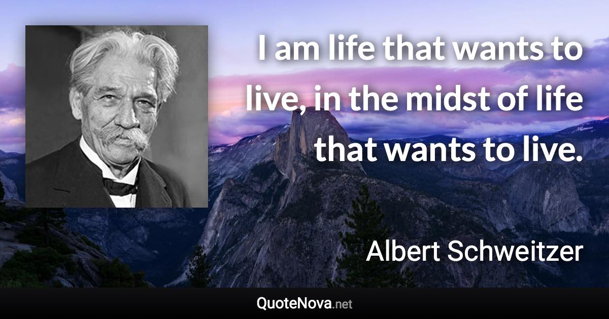 I am life that wants to live, in the midst of life that wants to live. - Albert Schweitzer quote