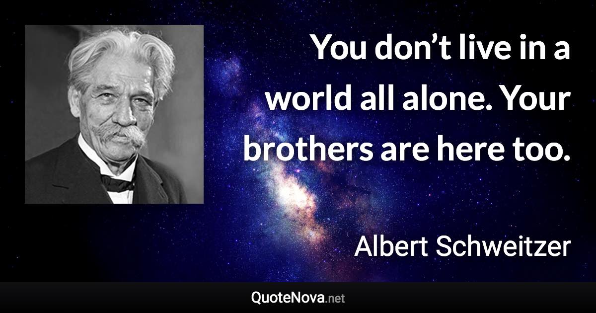 You don’t live in a world all alone. Your brothers are here too. - Albert Schweitzer quote