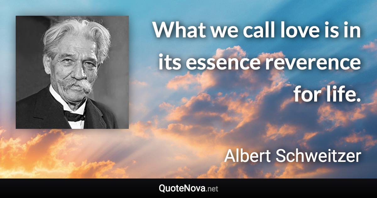 What we call love is in its essence reverence for life. - Albert Schweitzer quote