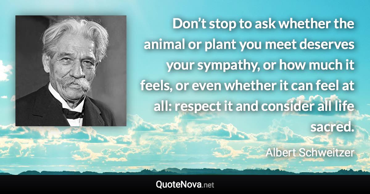 Don’t stop to ask whether the animal or plant you meet deserves your sympathy, or how much it feels, or even whether it can feel at all: respect it and consider all life sacred. - Albert Schweitzer quote