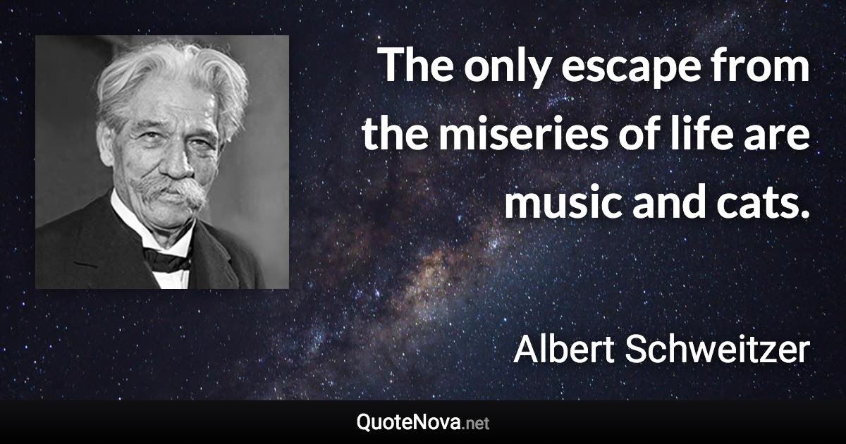 The only escape from the miseries of life are music and cats. - Albert Schweitzer quote