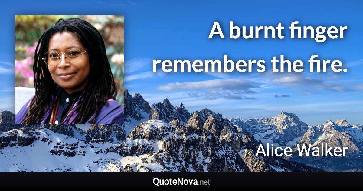 A burnt finger remembers the fire. - Alice Walker quote