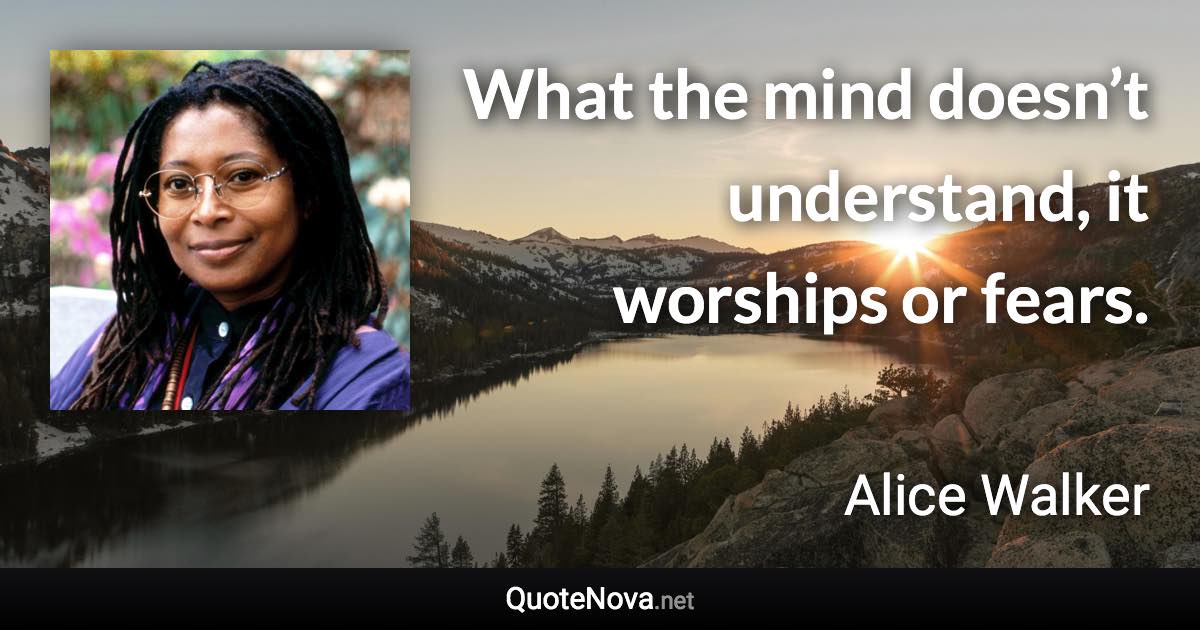 What the mind doesn’t understand, it worships or fears. - Alice Walker quote