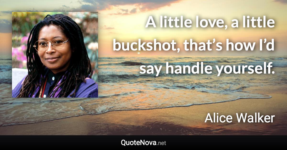 A little love, a little buckshot, that’s how I’d say handle yourself. - Alice Walker quote