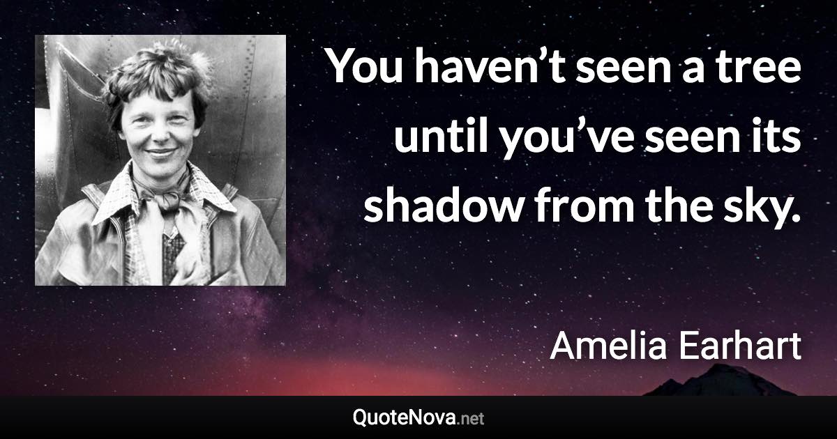 You haven’t seen a tree until you’ve seen its shadow from the sky. - Amelia Earhart quote