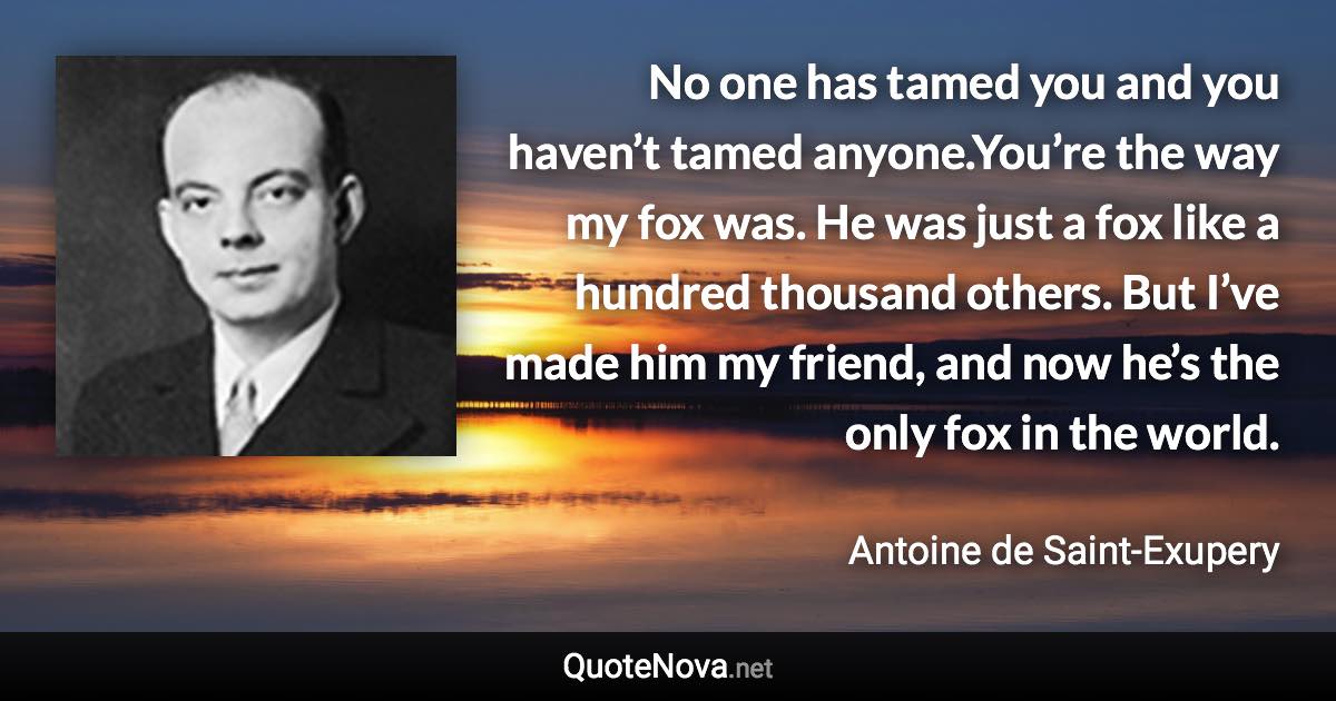 No one has tamed you and you haven’t tamed anyone.You’re the way my fox was. He was just a fox like a hundred thousand others. But I’ve made him my friend, and now he’s the only fox in the world. - Antoine de Saint-Exupery quote