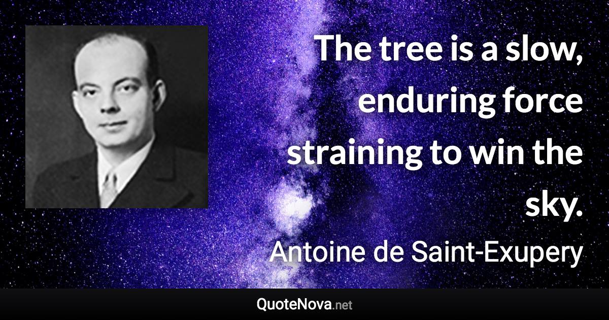 The tree is a slow, enduring force straining to win the sky. - Antoine de Saint-Exupery quote