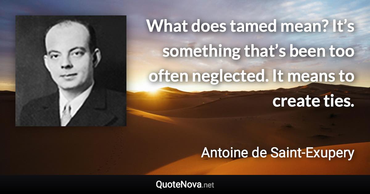 What does tamed mean? It’s something that’s been too often neglected. It means to create ties. - Antoine de Saint-Exupery quote