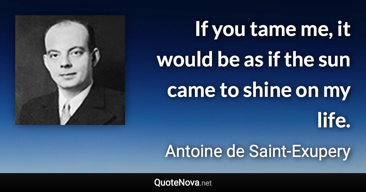 If you tame me, it would be as if the sun came to shine on my life. - Antoine de Saint-Exupery quote