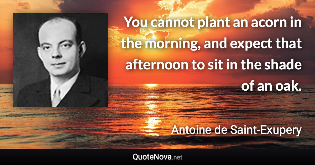 You cannot plant an acorn in the morning, and expect that afternoon to sit in the shade of an oak. - Antoine de Saint-Exupery quote