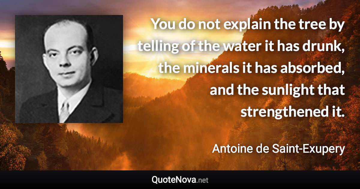 You do not explain the tree by telling of the water it has drunk, the minerals it has absorbed, and the sunlight that strengthened it. - Antoine de Saint-Exupery quote